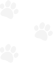 Canine Country Club Groomers